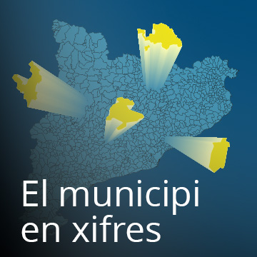 Imatge municipi en xifres