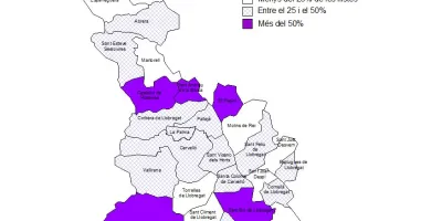 Img_informe_llistes_1_2019.JPG
