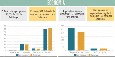 Soci_anual_2015.png