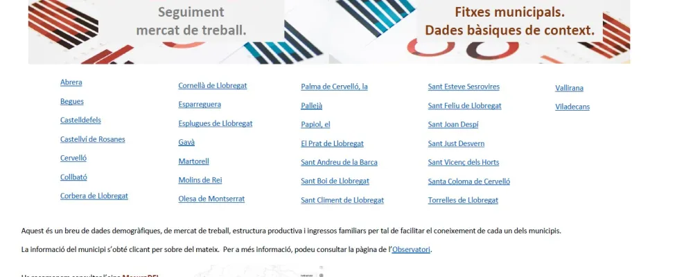 Fitxes municipals